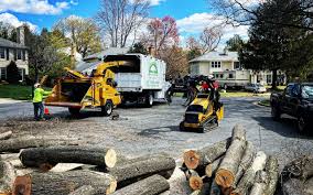 Best Commercial Tree Services  in Rossville, TN