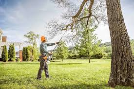 Best Lawn Mowing  in Rossville, TN