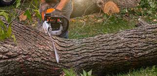 Best Lawn Drainage Solutions  in Rossville, TN